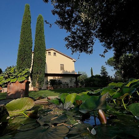 بيبونا Agriturismo Le Vallette المظهر الخارجي الصورة
