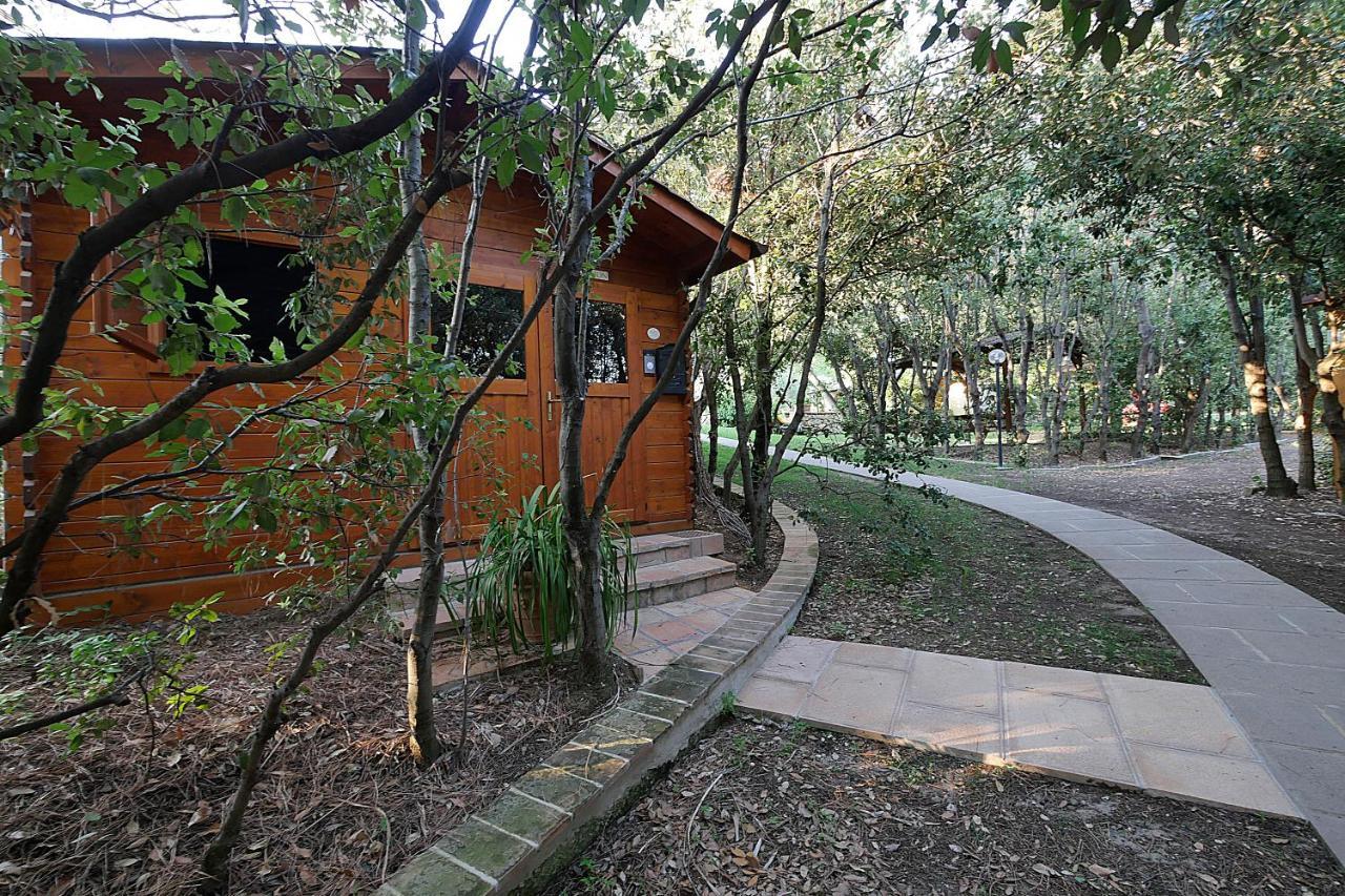 بيبونا Agriturismo Le Vallette المظهر الخارجي الصورة